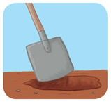 dig