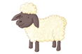 sheep